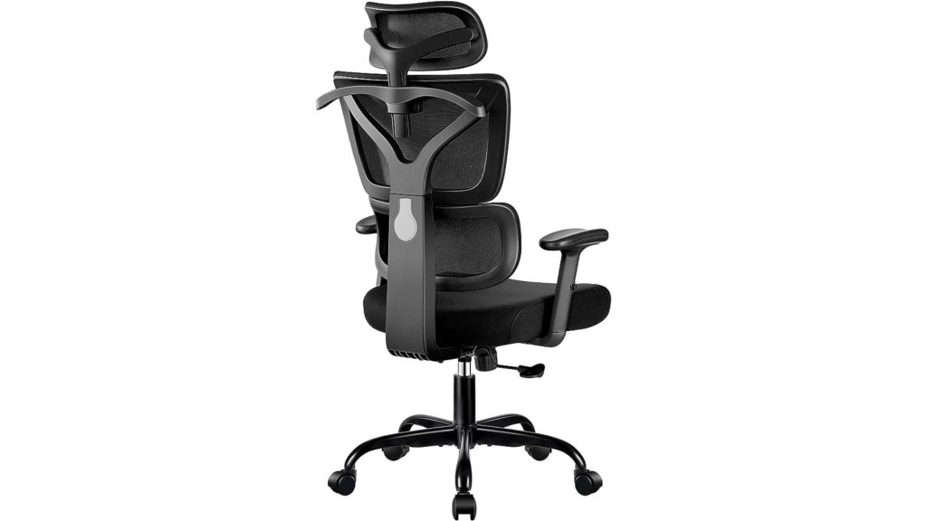 Winrise Office Chair Ergonomic